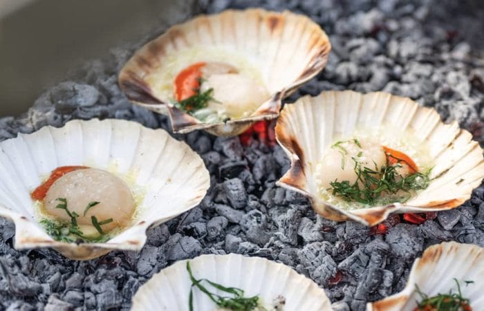 Fresh scallops sizzling in their shells over hot coals as part of a fire-led outdoor dining experience.